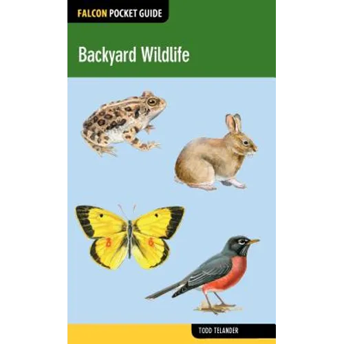 Backyard Wildlife