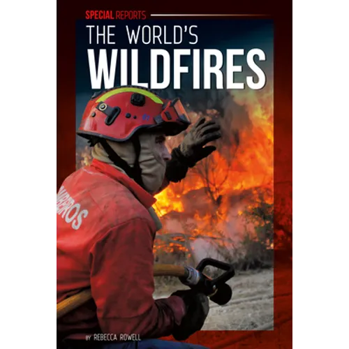 World's Wildfires