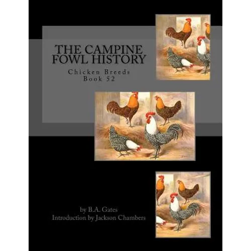 The Campine Fowl History: Chicken Breeds Book 52