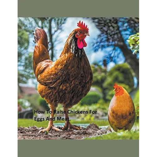 How to Raise Chickens For Eggs and Meat