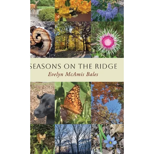 Seasons on the Ridge