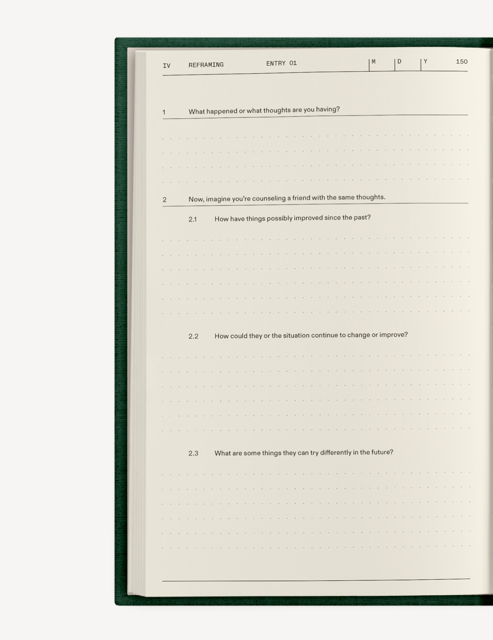 The Field Guide for Depression Therapy Notebook