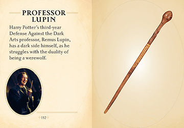 Harry Potter: The Mini Book of Wands Hardcover Book