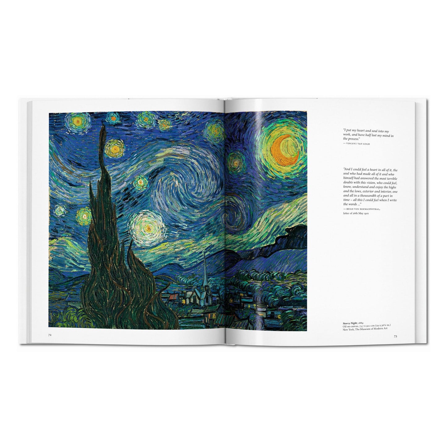 Van Gogh (English) Book