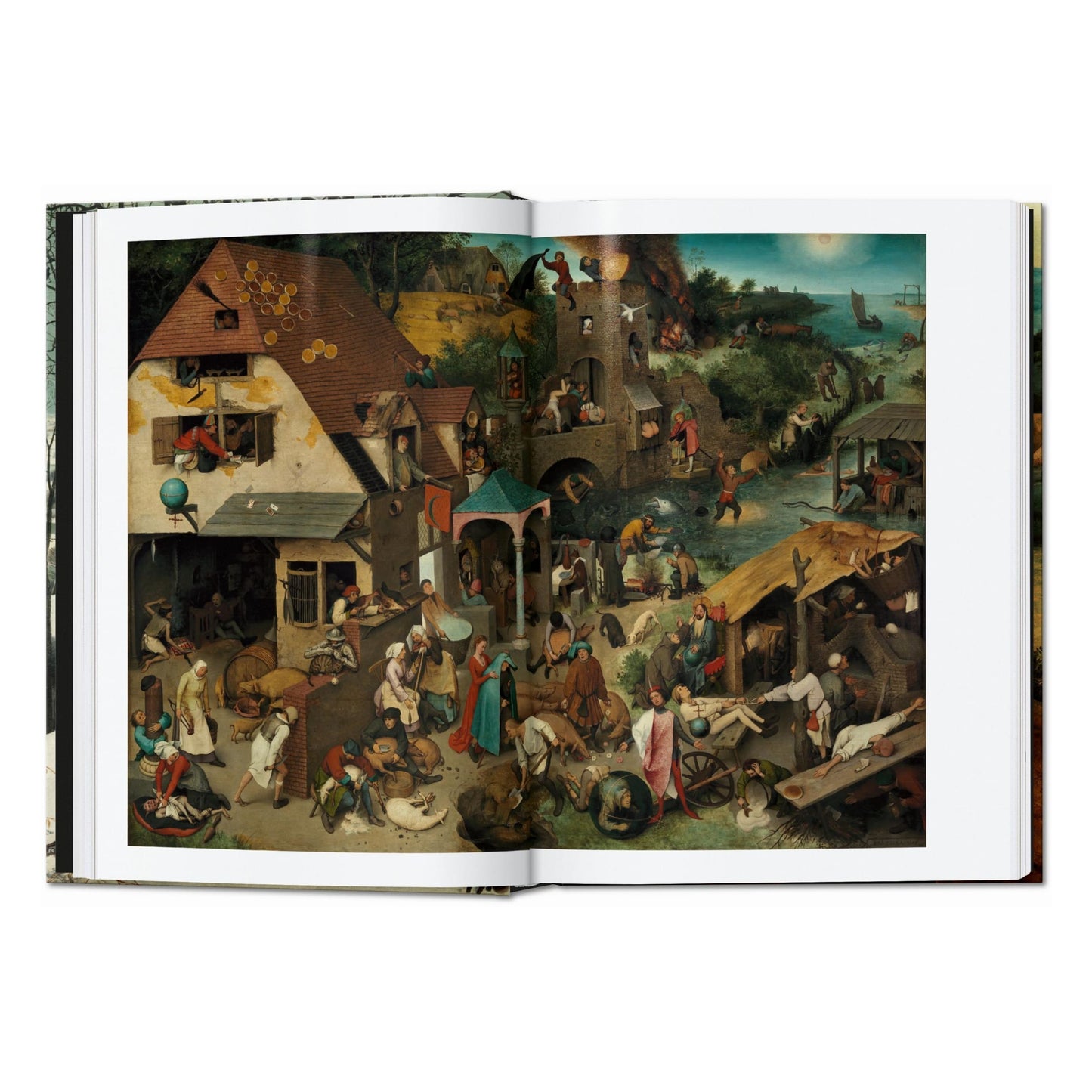 Bruegel. The Complete Paintings. 45th Ed. (English) Book