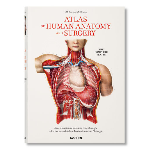 Bourgery. Atlas of Human Anatomy and Surgery (German, French, English) Book