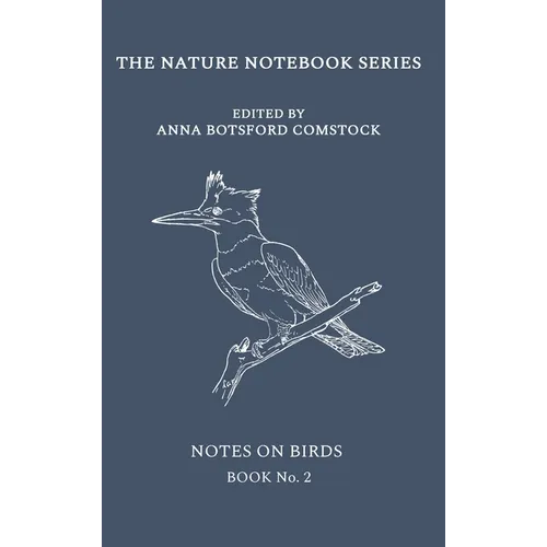 Notes on Birds 2