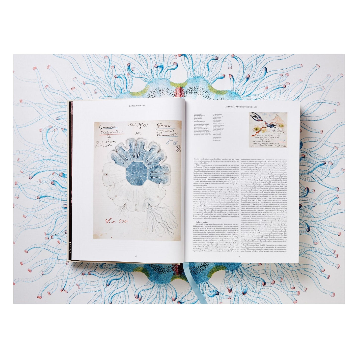 The Art and Science of Ernst Haeckel (German, French, English) Book