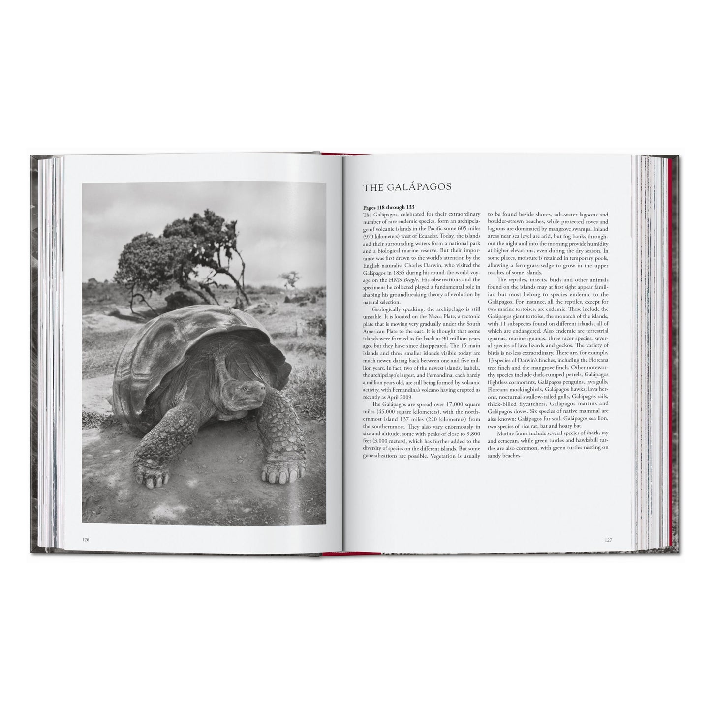 Sebastião Salgado. Genesis. 45th Ed. (English) Book