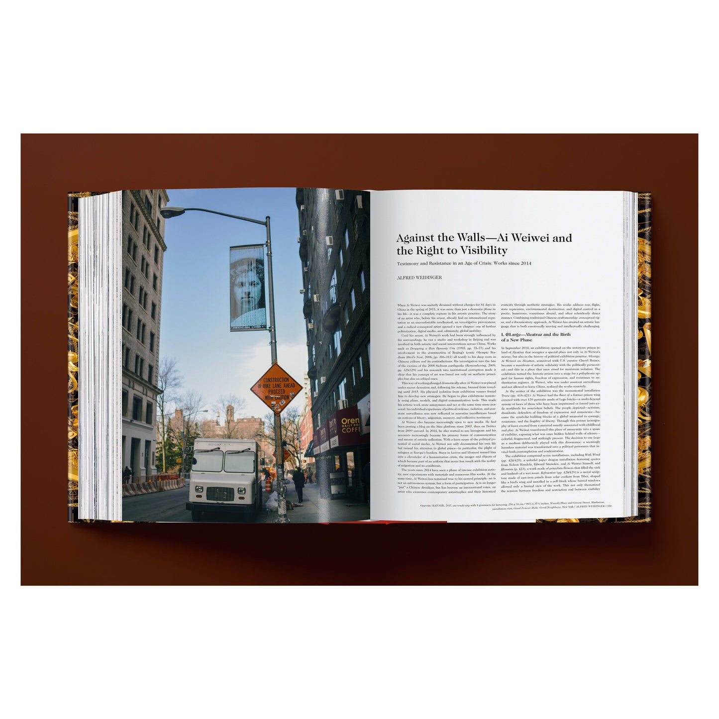 Ai Weiwei. Updated Edition (German, French, English) Book