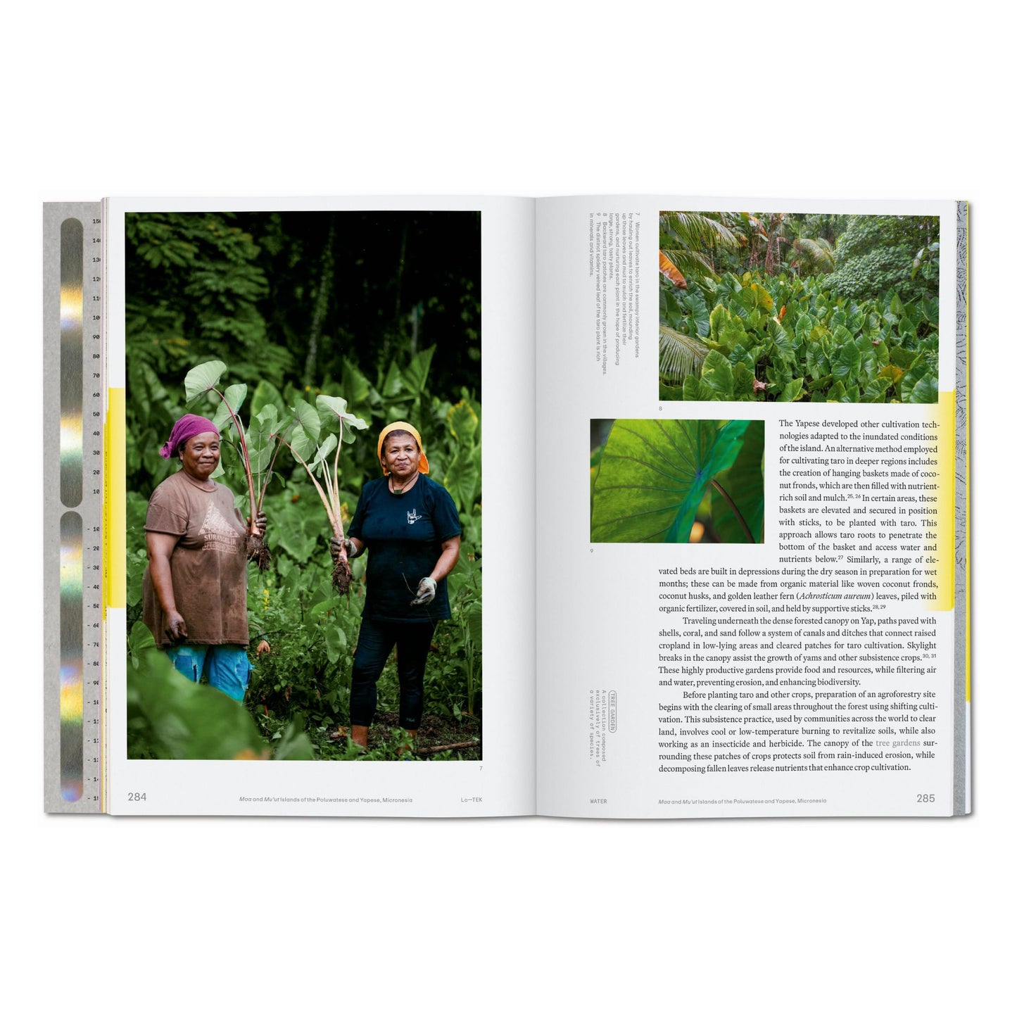 Julia Watson. Lo—TEK. Water. A Field Guide for TEKnology (English) Book