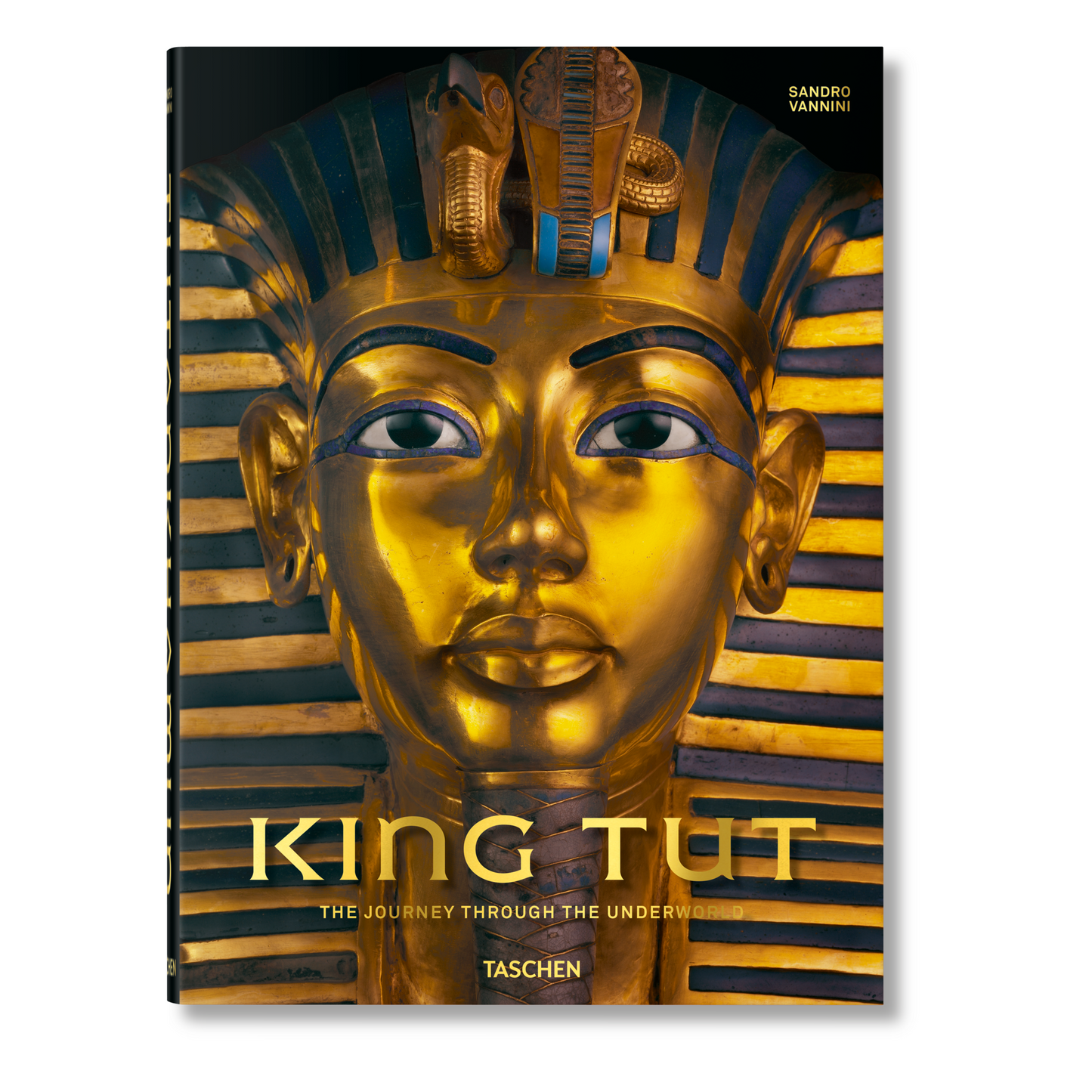 King Tut. The Journey through the Underworld (English) Book