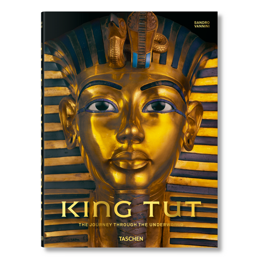 King Tut. The Journey through the Underworld (English) Book