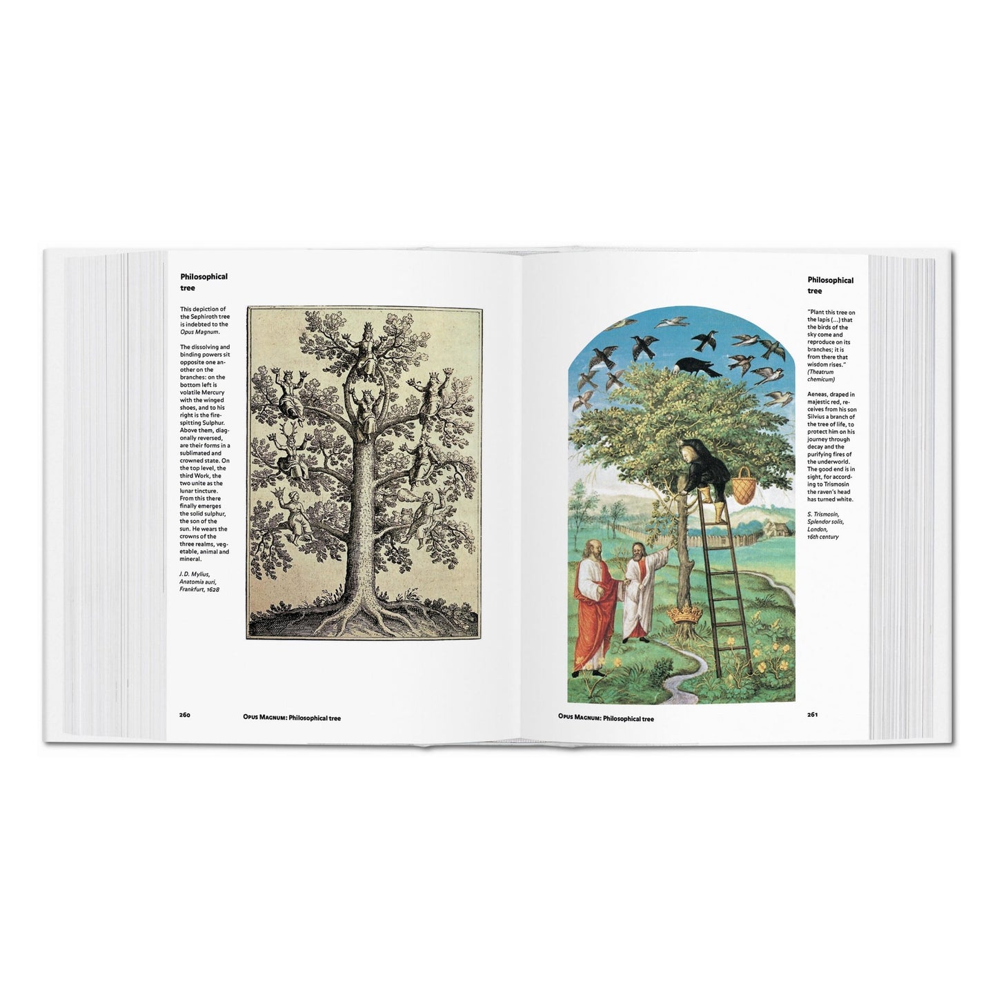Alchemy & Mysticism (English) Book