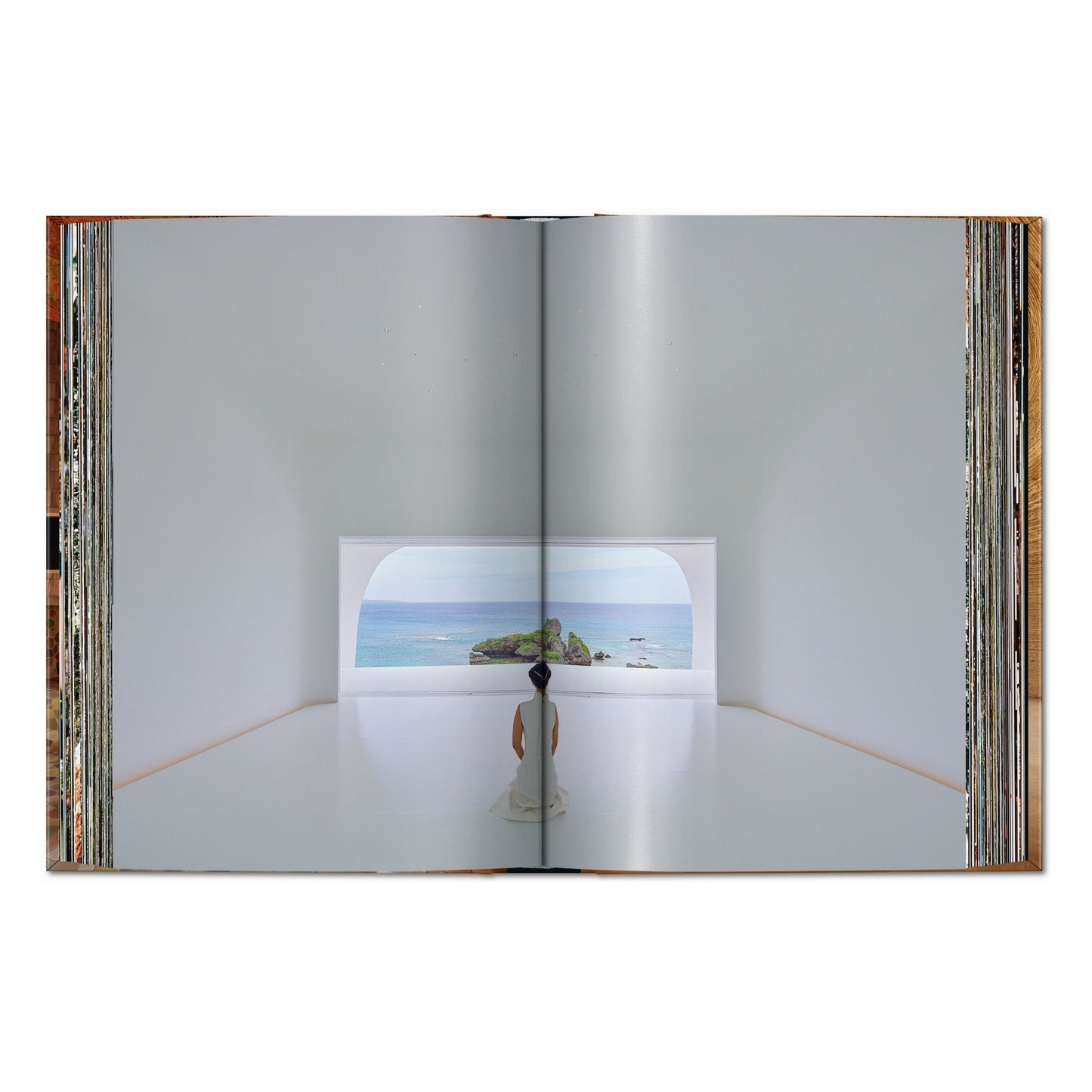 Homes For Our Time. Contemporary Houses around the World. Vol. 3 (German, French, English) Book
