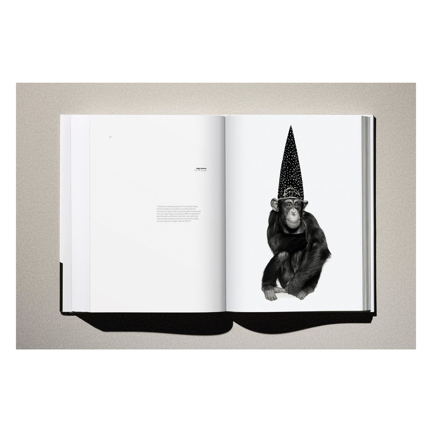 Albert Watson. Kaos (German, French, English) Book