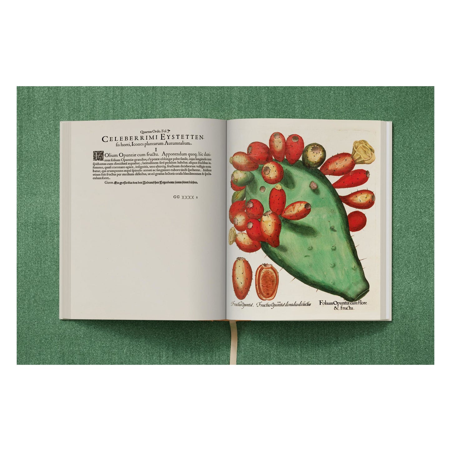 Basilius Besler. The Garden at Eichstätt (German, French, English) (FFE) Book