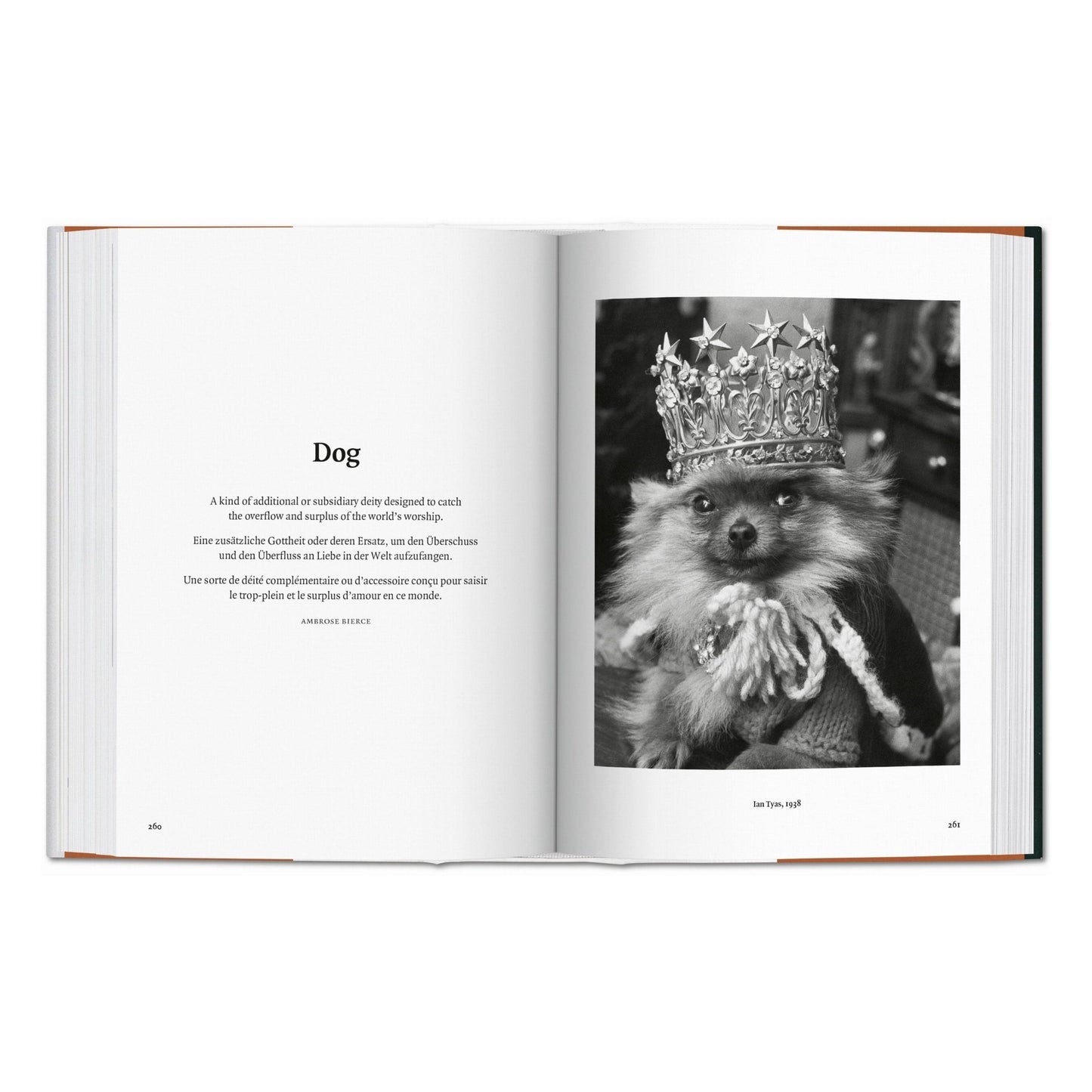 The Dog in Photography 1839–Today (German, French, English) Book