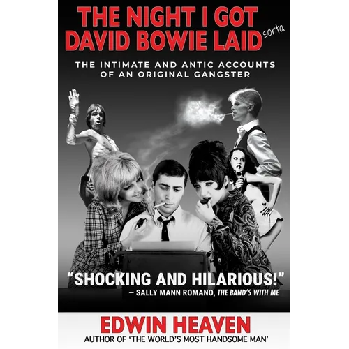 The Night I Got David Bowie Laid (Sorta)