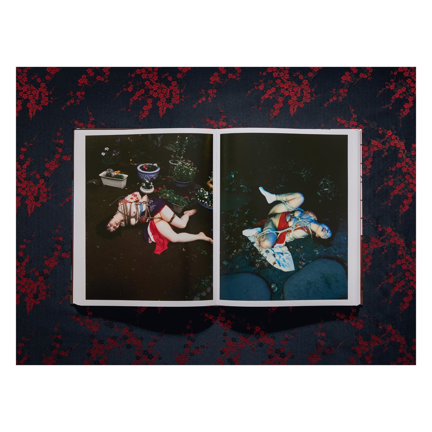 Araki. Bondage (English) Book
