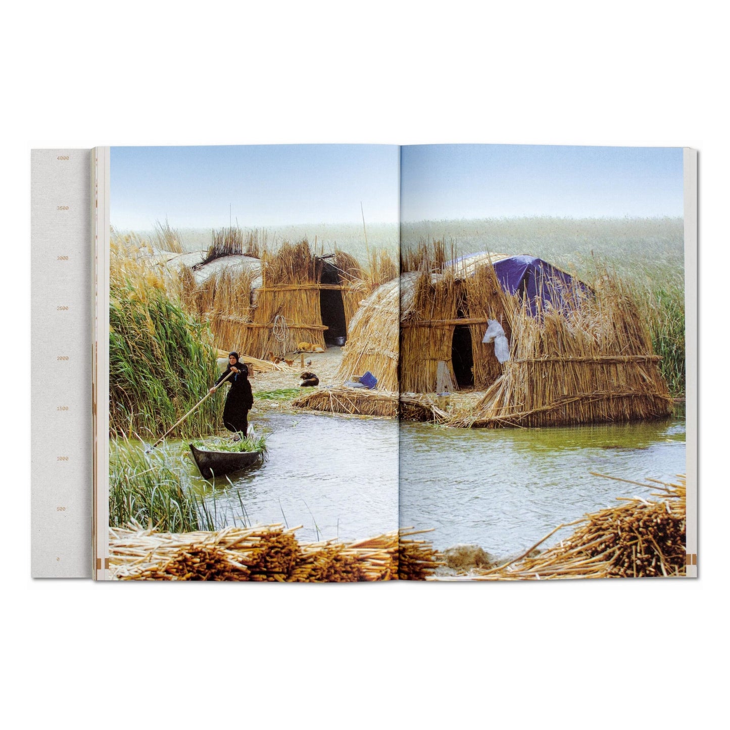 Julia Watson. Lo—TEK. Design by Radical Indigenism (English) Book