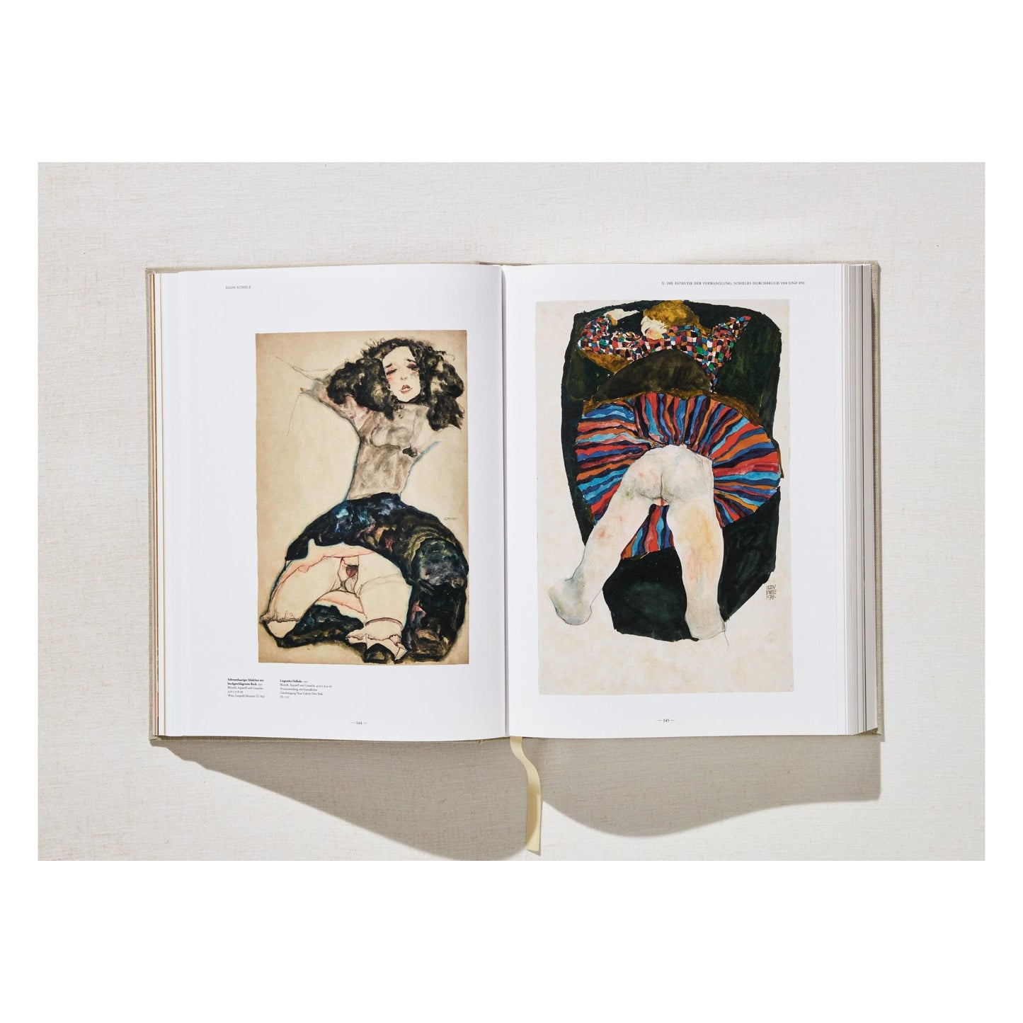 Egon Schiele. The Complete Paintings 1909–1918 (English) Book