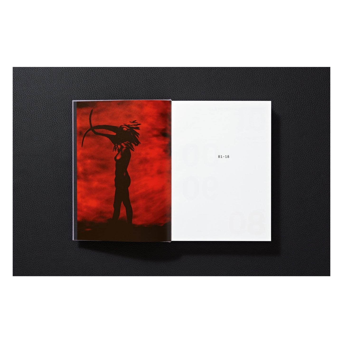 Depeche Mode by Anton Corbijn (German, French, English) Book