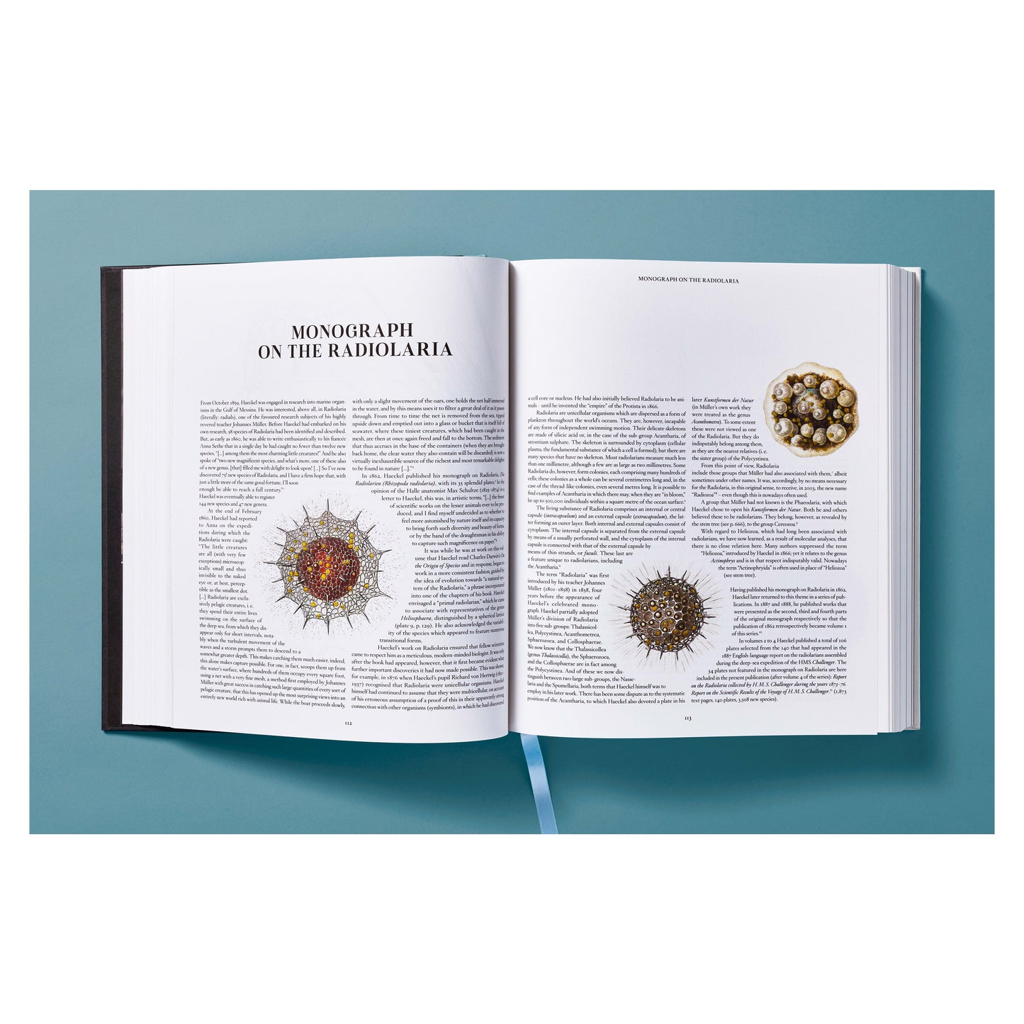 The Art and Science of Ernst Haeckel (German, French, English) Book