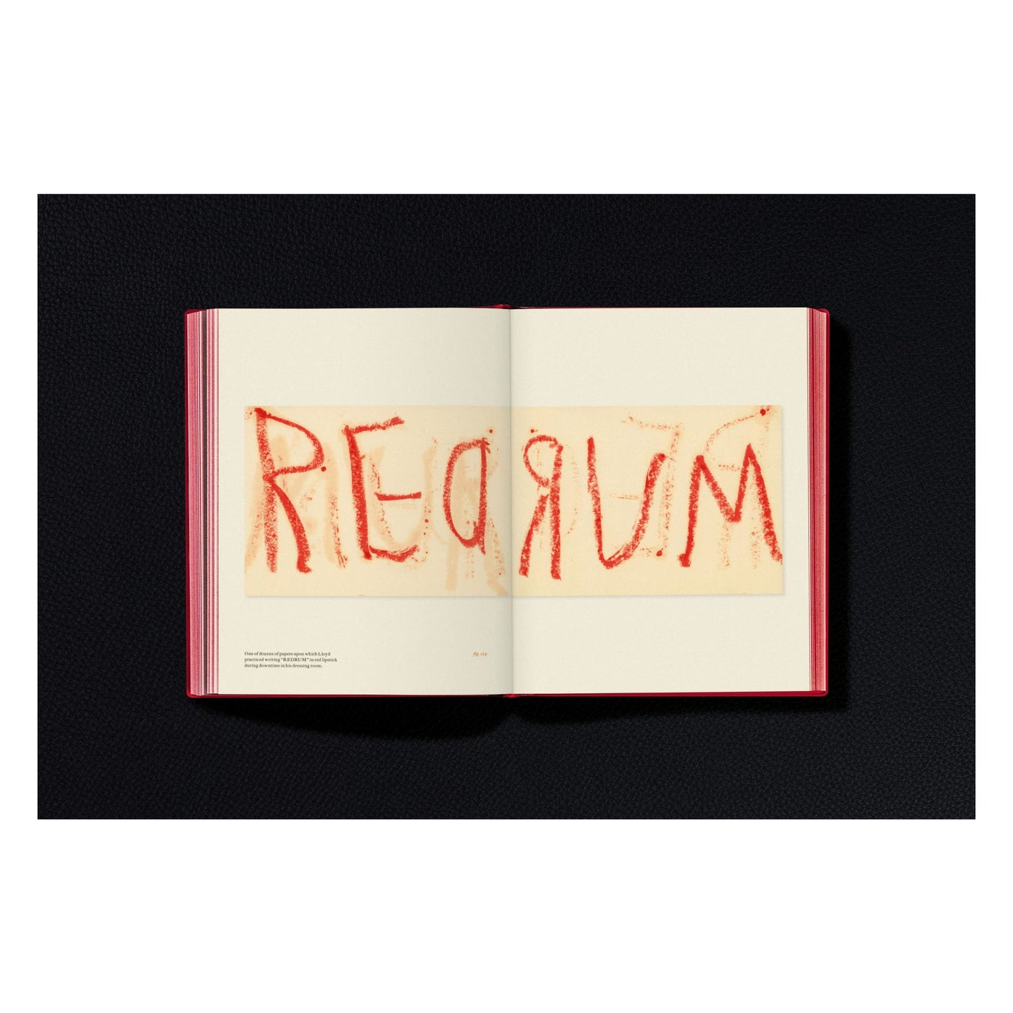 Stanley Kubrick's The Shining (English) Book
