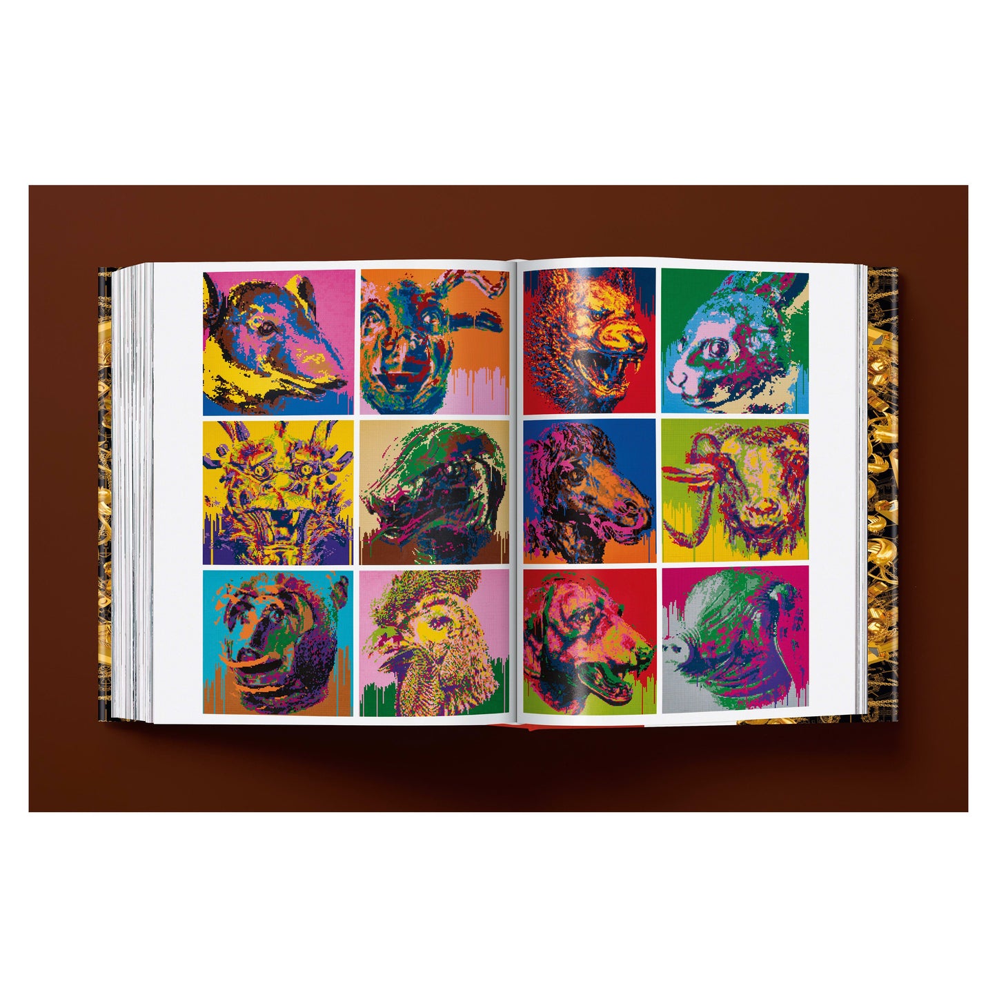 Ai Weiwei. Updated Edition (German, French, English) Book