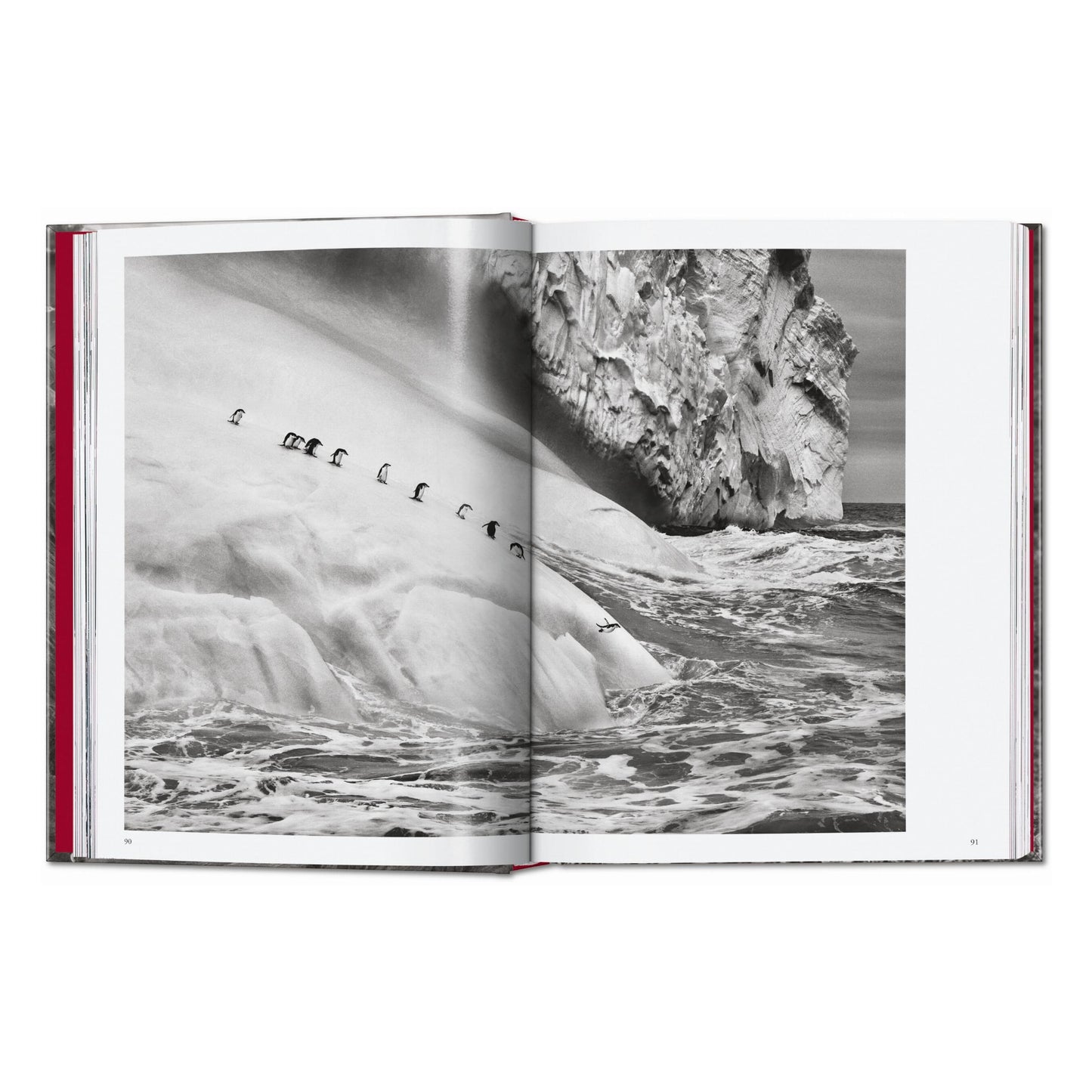 Sebastião Salgado. Genesis. 45th Ed. (English) Book