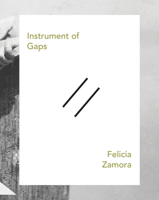 Instrument of Gaps Book