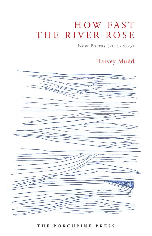 How Fast the River Rose: new poems (2019-2023) Book