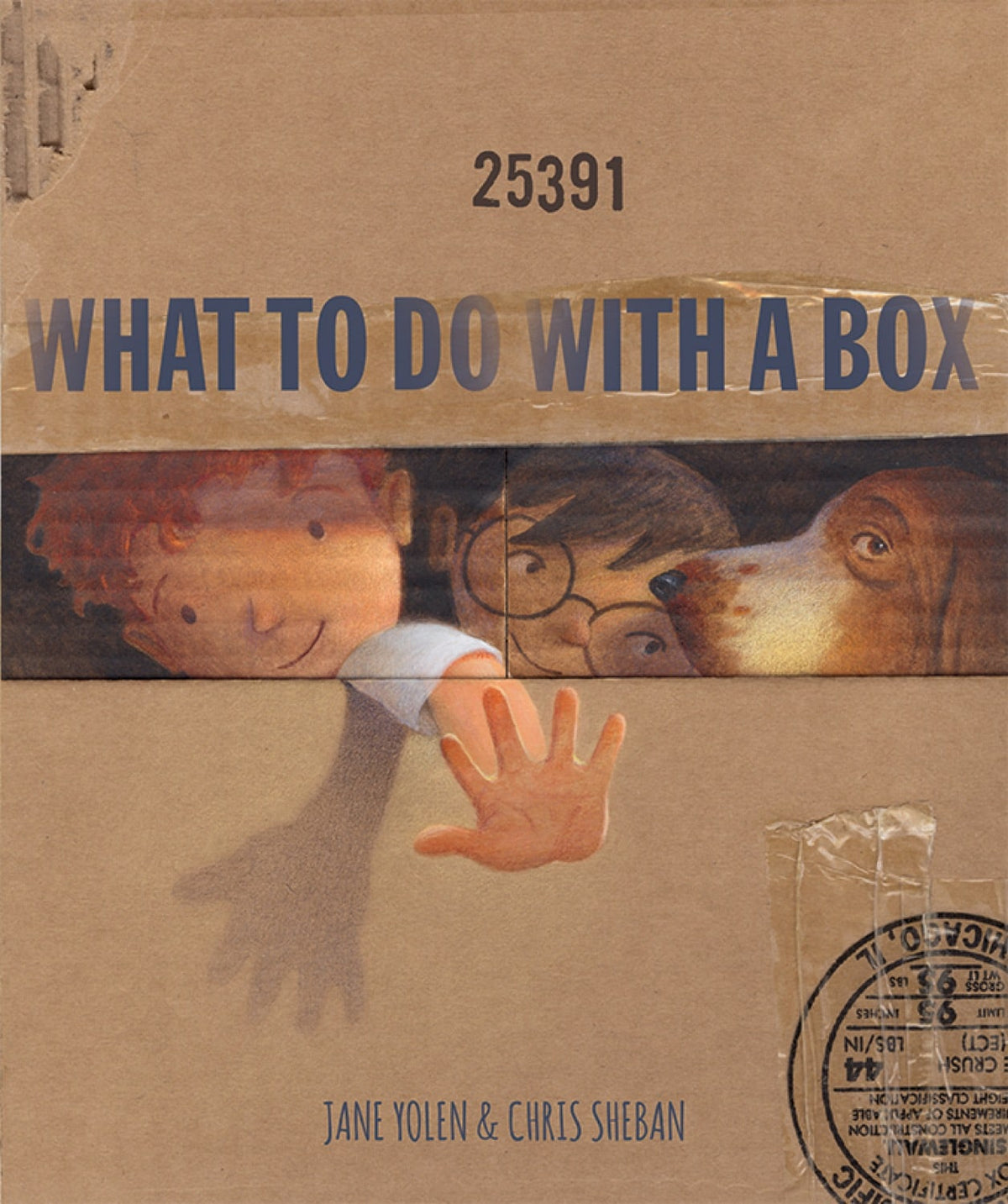 What to Do with a Box Book