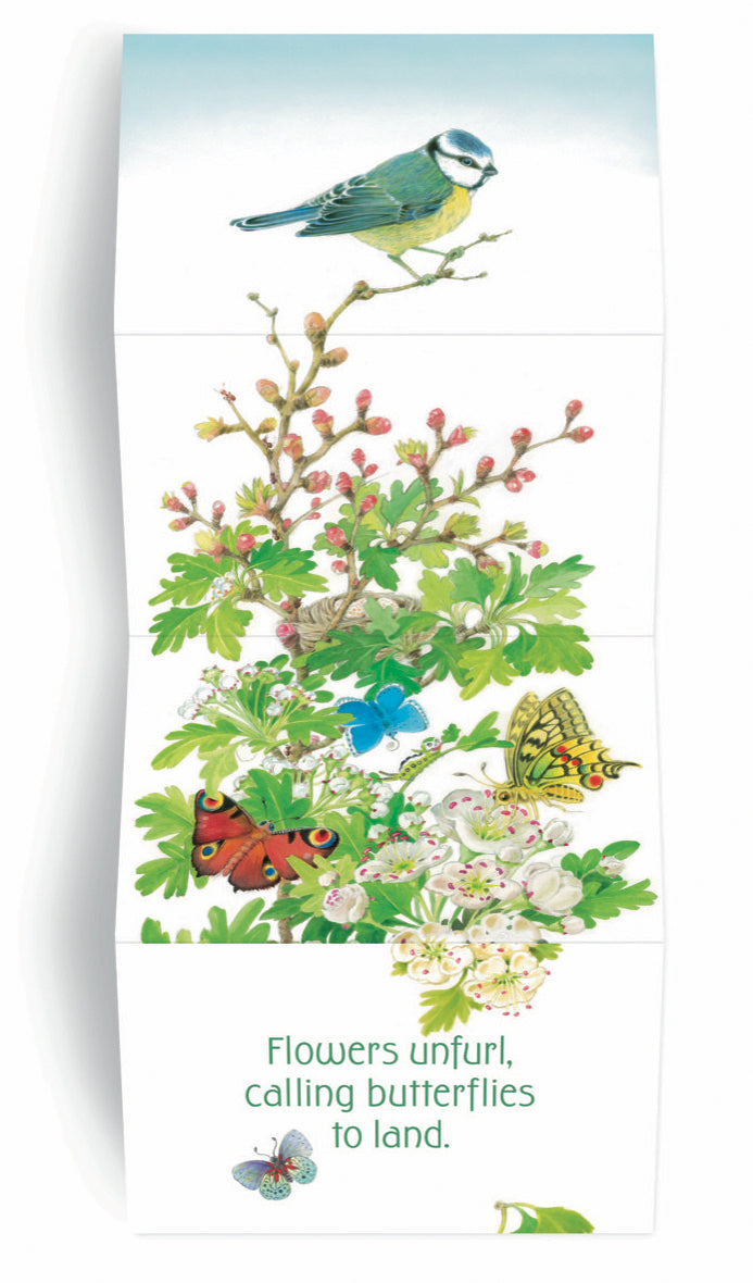 In the Garden Book