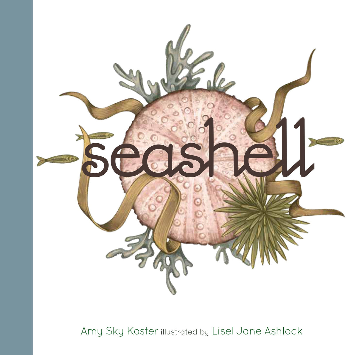 Seashell Book
