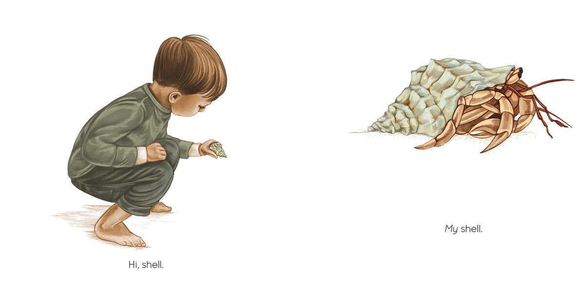 Seashell Book