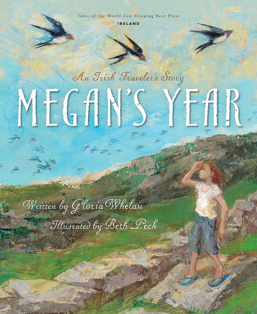 Megan's Year: An Irish Traveler's Story (Tales of the World)
