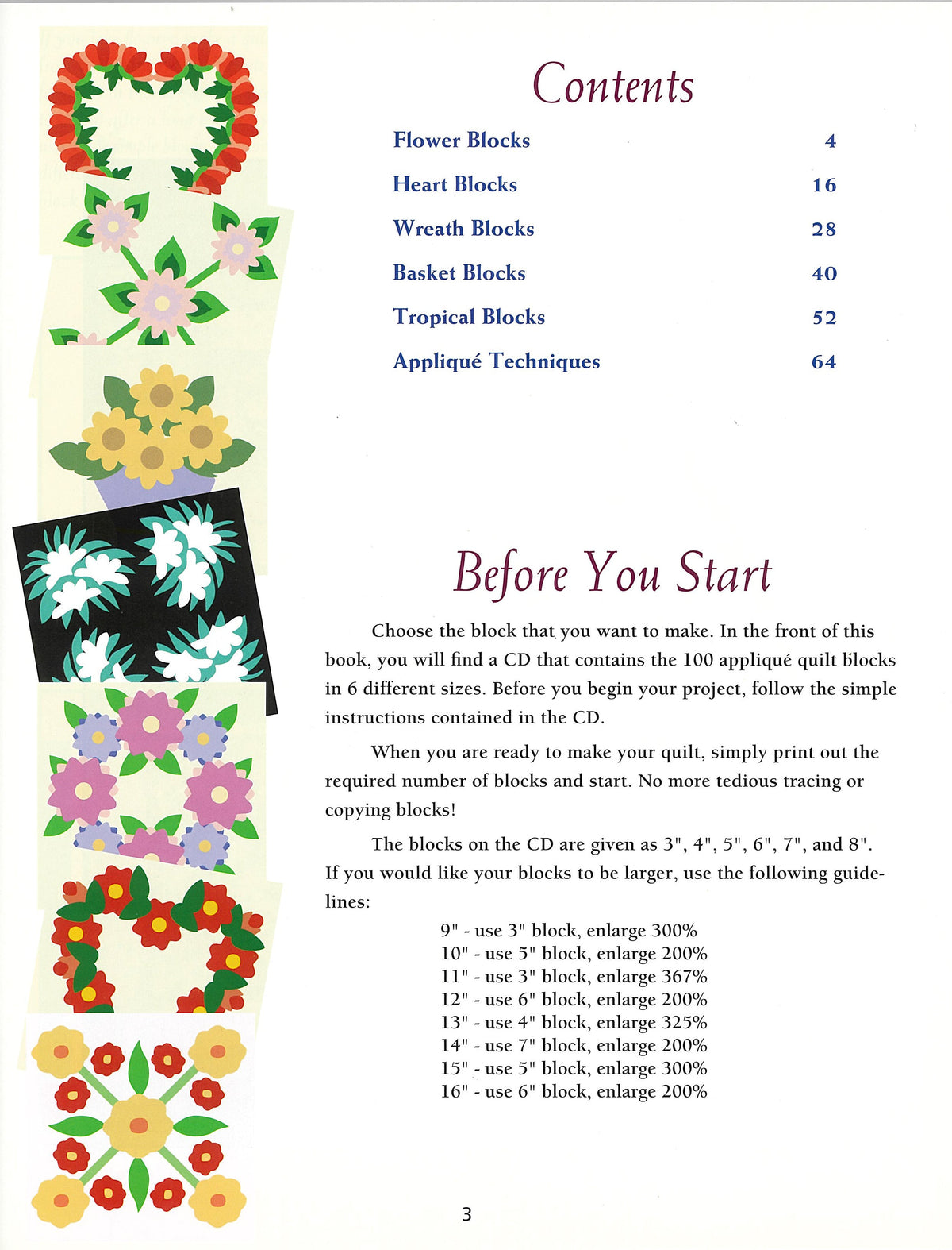 100 Any-Size Applique Blocks Book