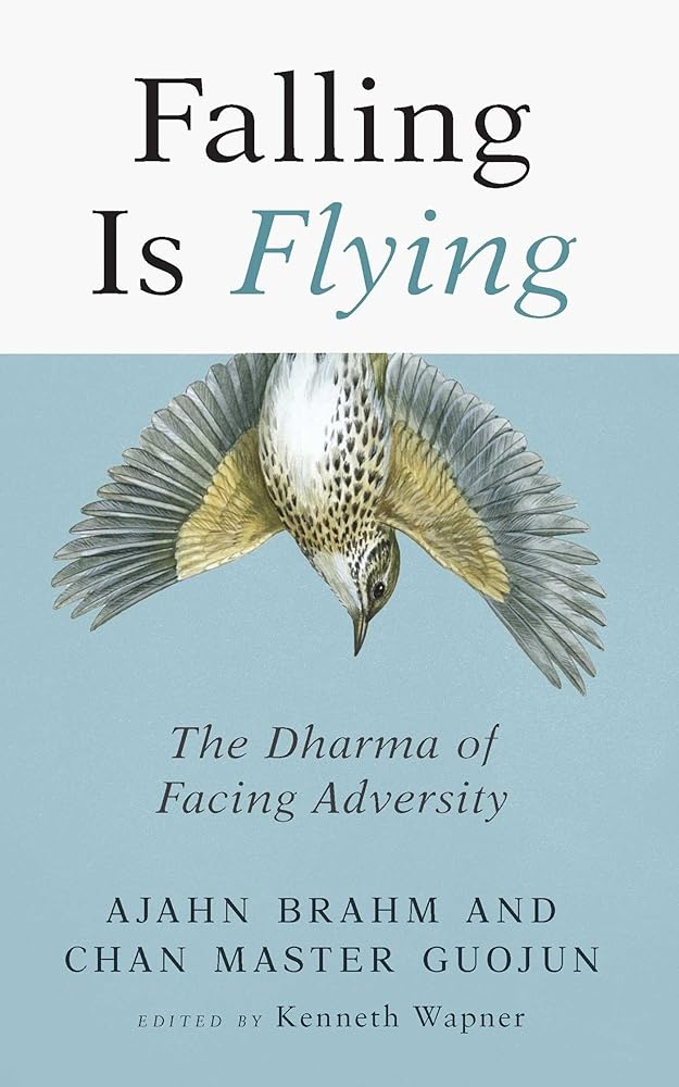 Falling is Flying: The Dharma of Facing Adversity (1)