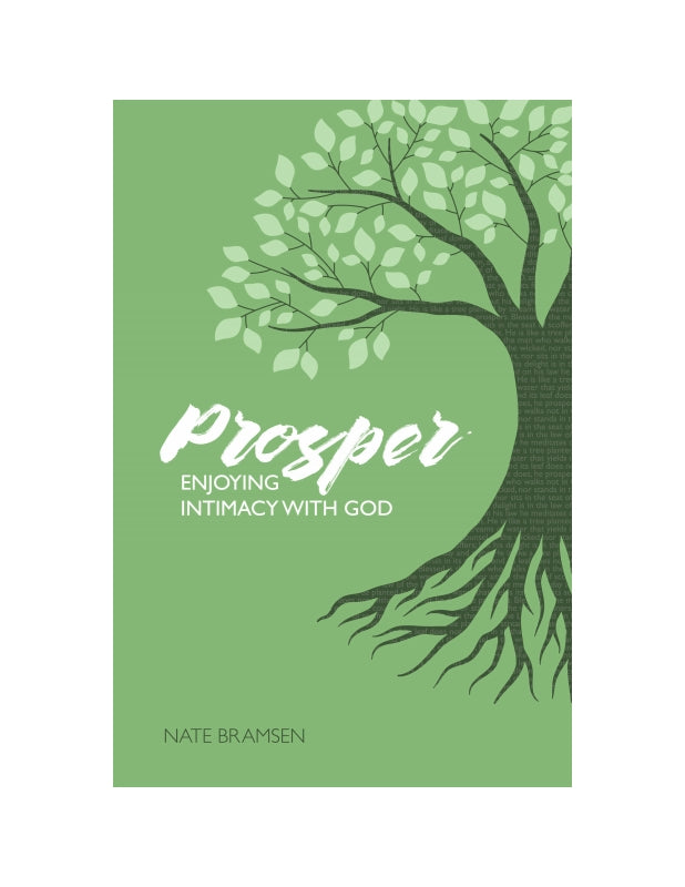 Prosper: Enjoying Intimacy with God Book