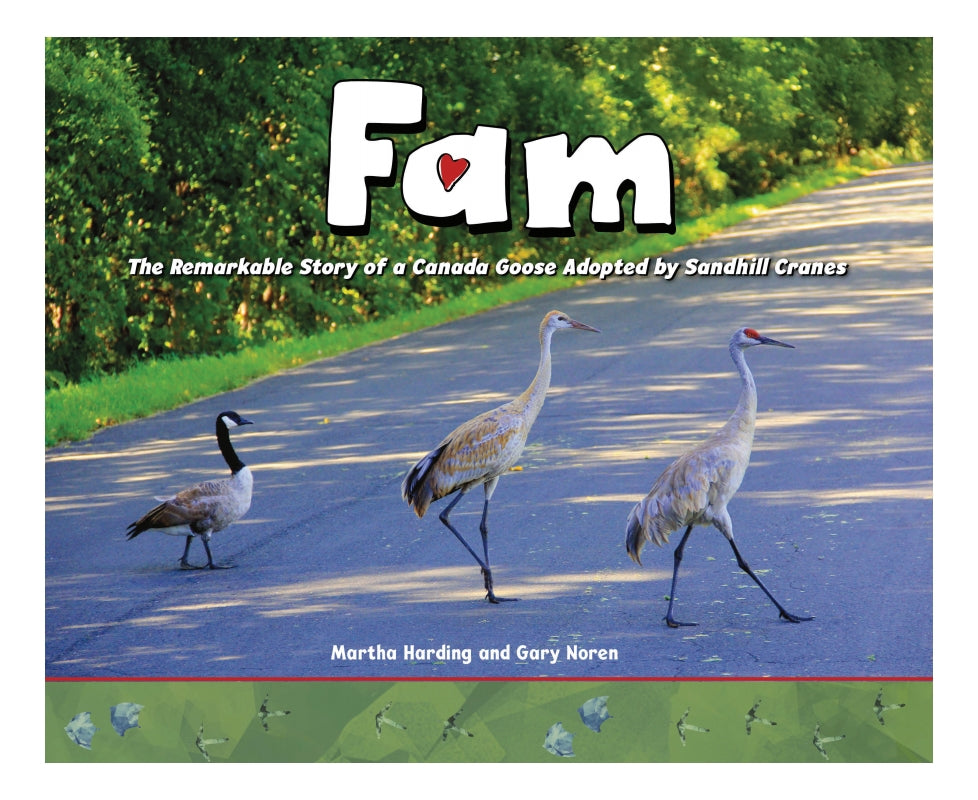 Fam: The Remarkable Story of a Canada Goose Adopted by Sandhill Cranes Book