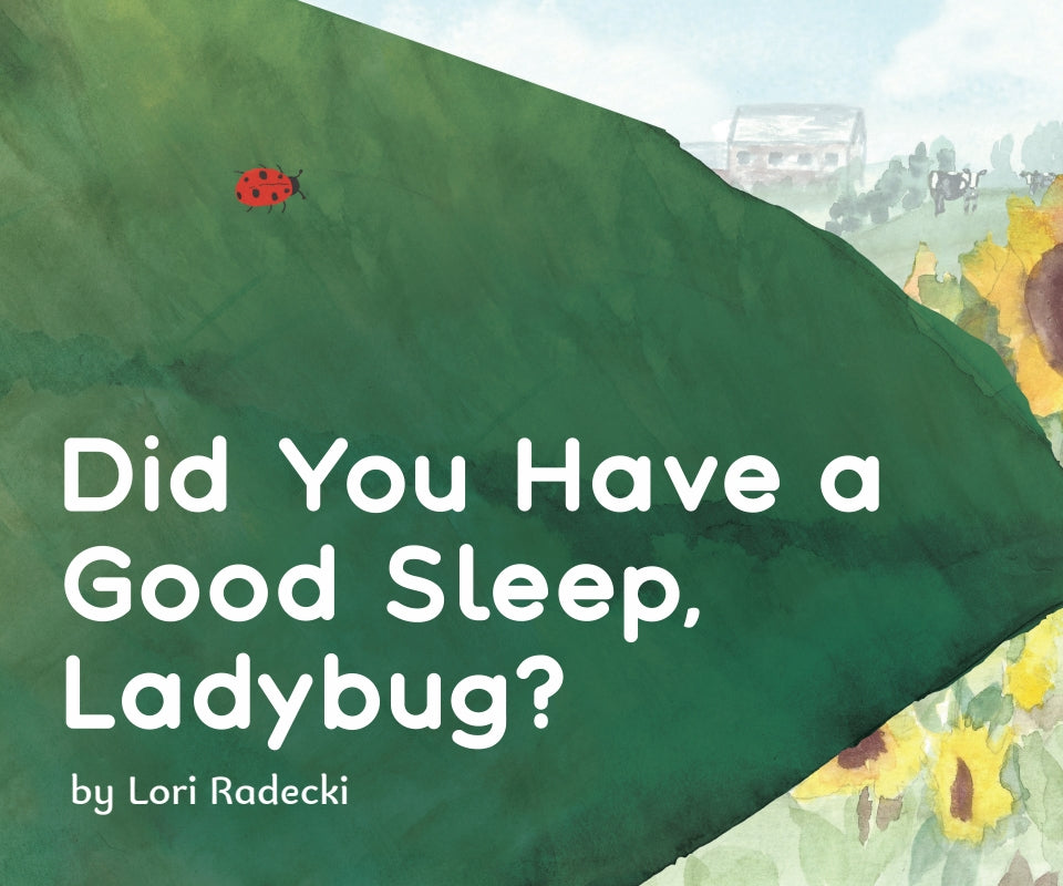Did You Have a Good Sleep, Ladybug? Book