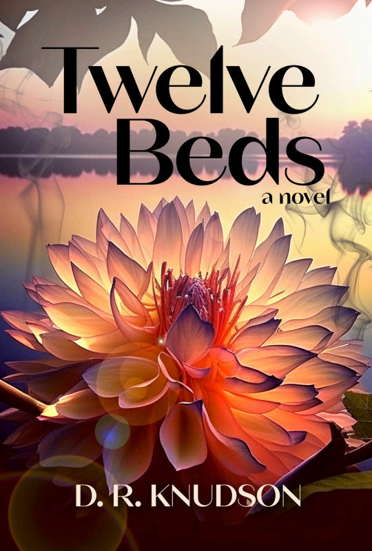 Twelve Beds: A Novel Book