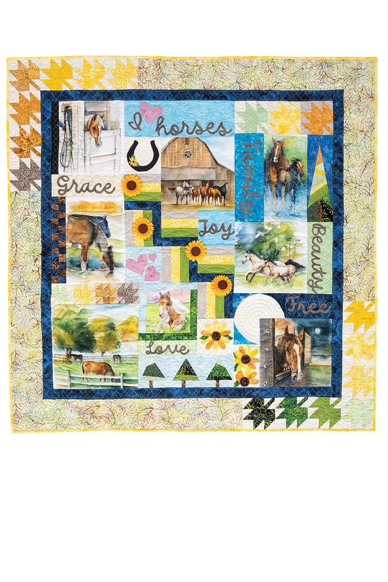 Playful Panel Quilts Book