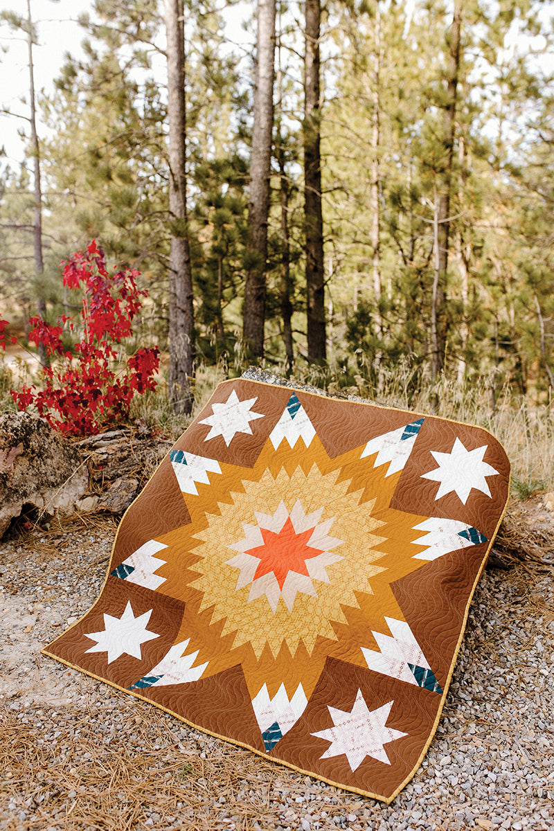 Lone Star Legacy Quilts Book