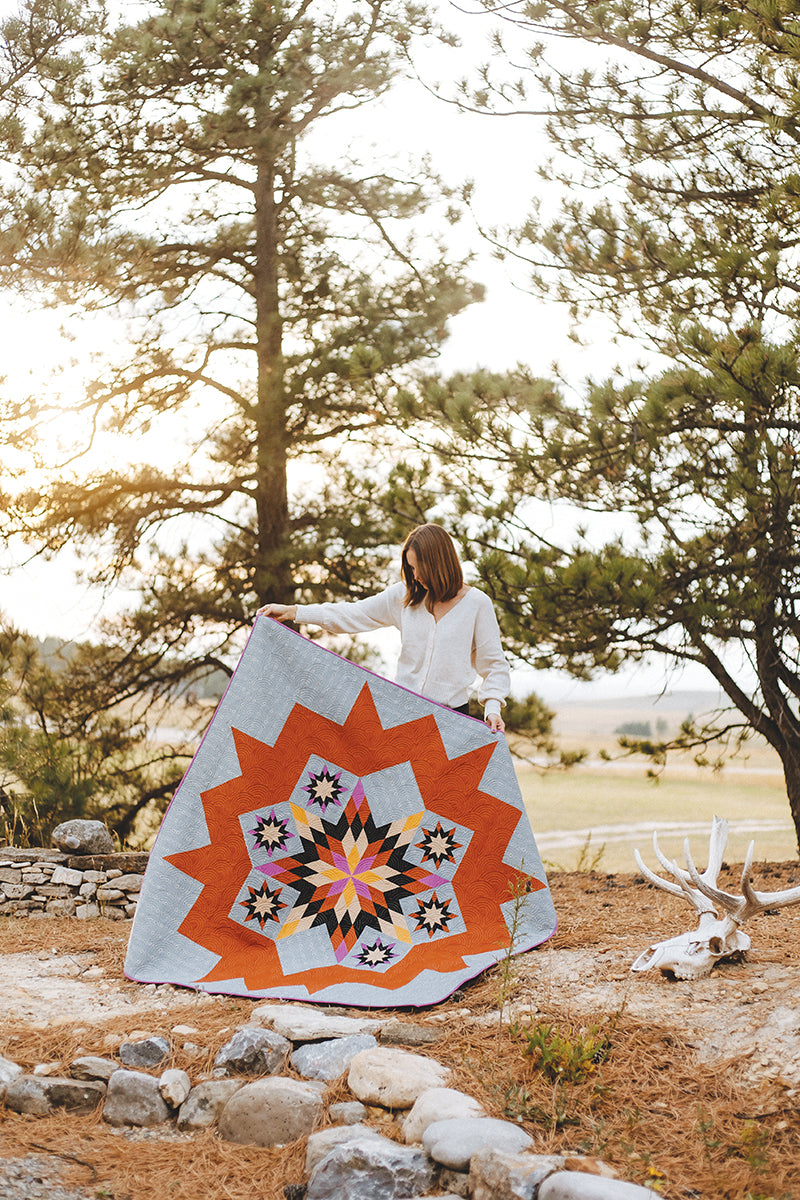 Lone Star Legacy Quilts Book