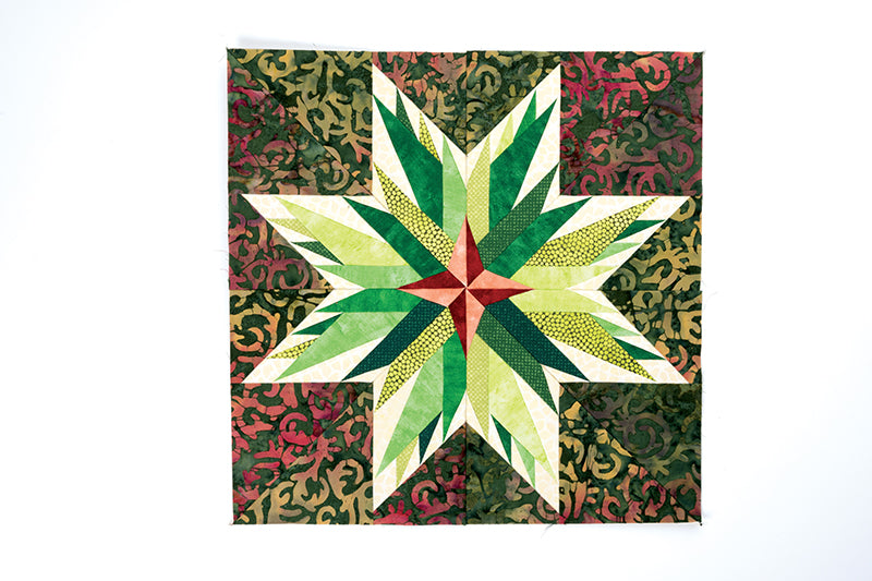Carol Doak’s Starry Block of the Month Book