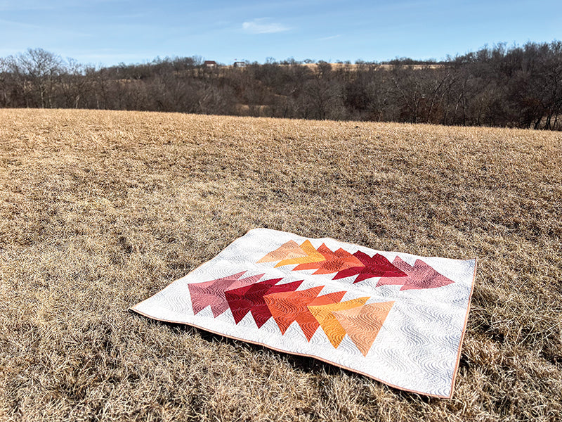 Cozy Quilts for the Modern Home Book