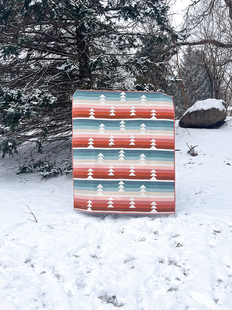 Cozy Quilts for the Modern Home Book